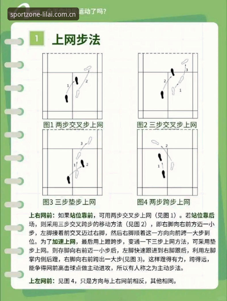 利来体育平台下载手机版完整指南：新手快速上手的每一步